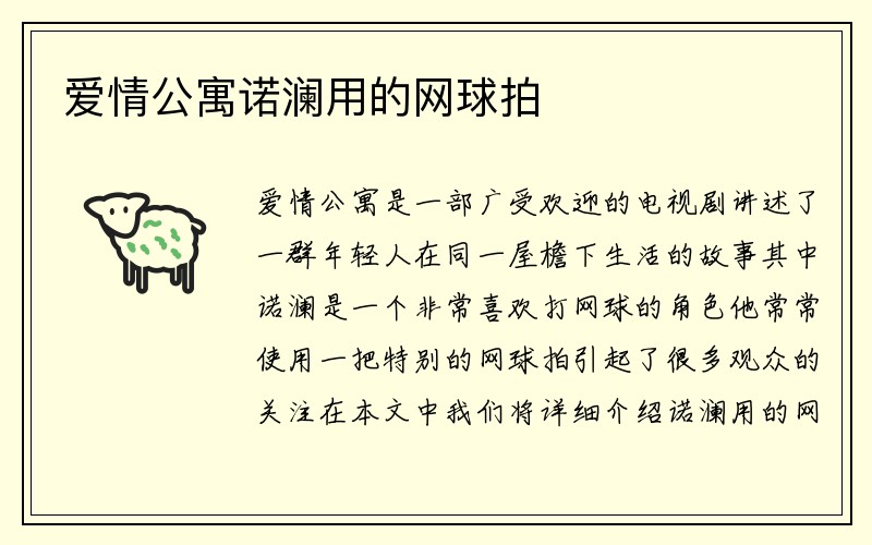 爱情公寓诺澜用的网球拍