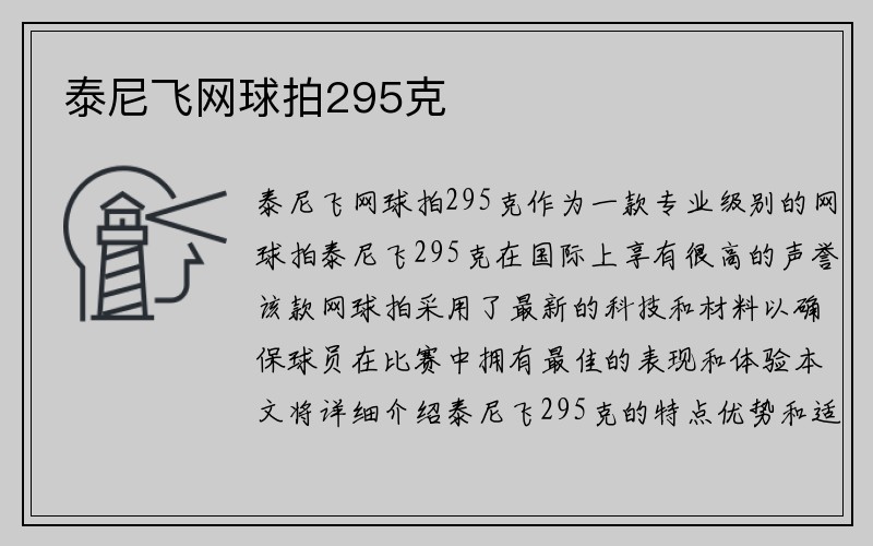 泰尼飞网球拍295克